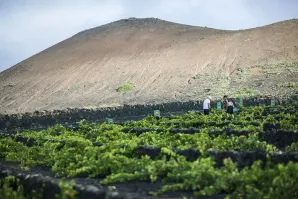 El Grifo
