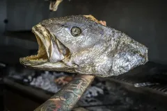 Hamarratz Andoni Txintxilla cabeza pescado