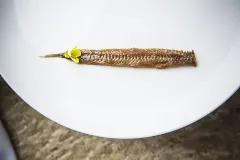 Hamarratz antxoa