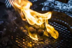 Hamarratz berberechos brasas