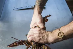 Hamarratz bogavante