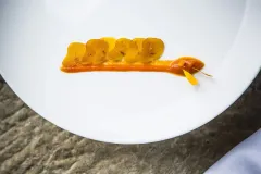 Hamarratz botarga mujol