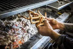 Hamarratz centollo brasas