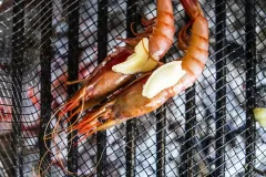 Hamarratz Gamba roja