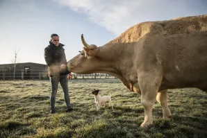 La Braseria Cuellar Potxolo Alberto Guijarro