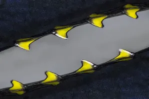 Fuentes atún aletas doble