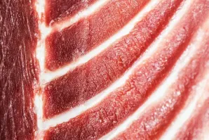 Fuentes atún espina