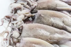 Rosa de los Vientos - Calamar